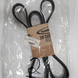 Pleasurecraft Nautique Serpentine Belt 6.0 L ZR6 PCM Engine